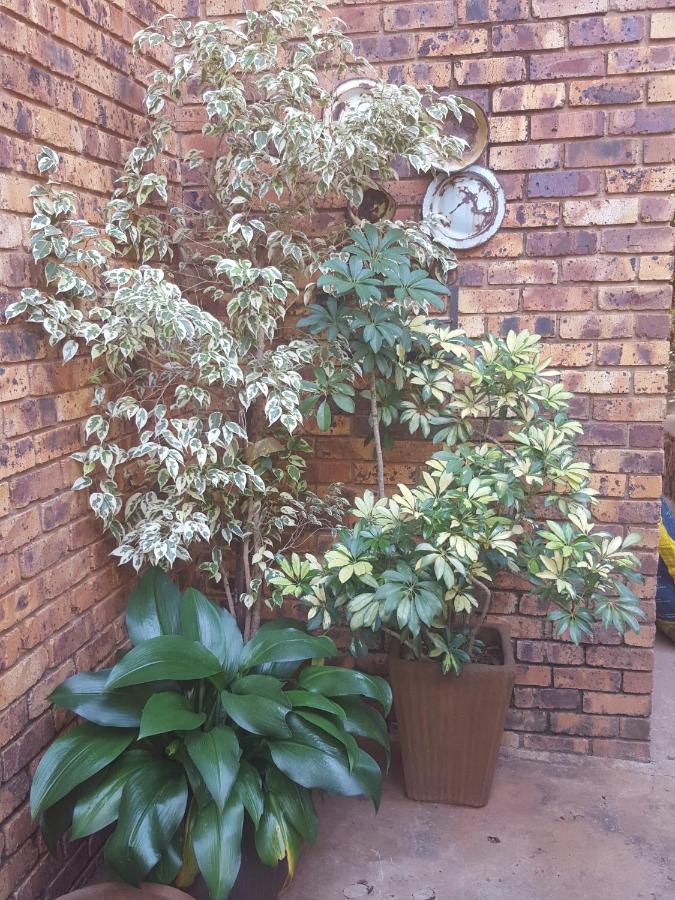 Grace Place Bnb Pretoria Bed & Breakfast Exterior photo